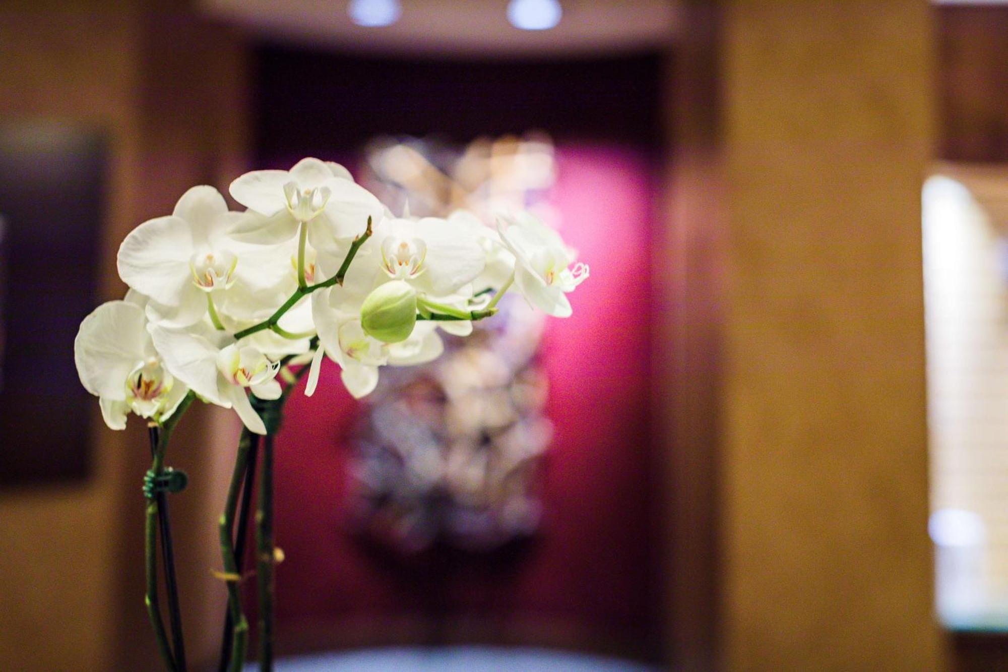 The Inverness Denver, A Hilton Golf & Spa Resort Енгълууд Екстериор снимка
